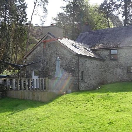 Blaentwrch Farmhouse Llanddewi-Brefi Exterior foto