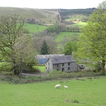 Blaentwrch Farmhouse Llanddewi-Brefi Exterior foto