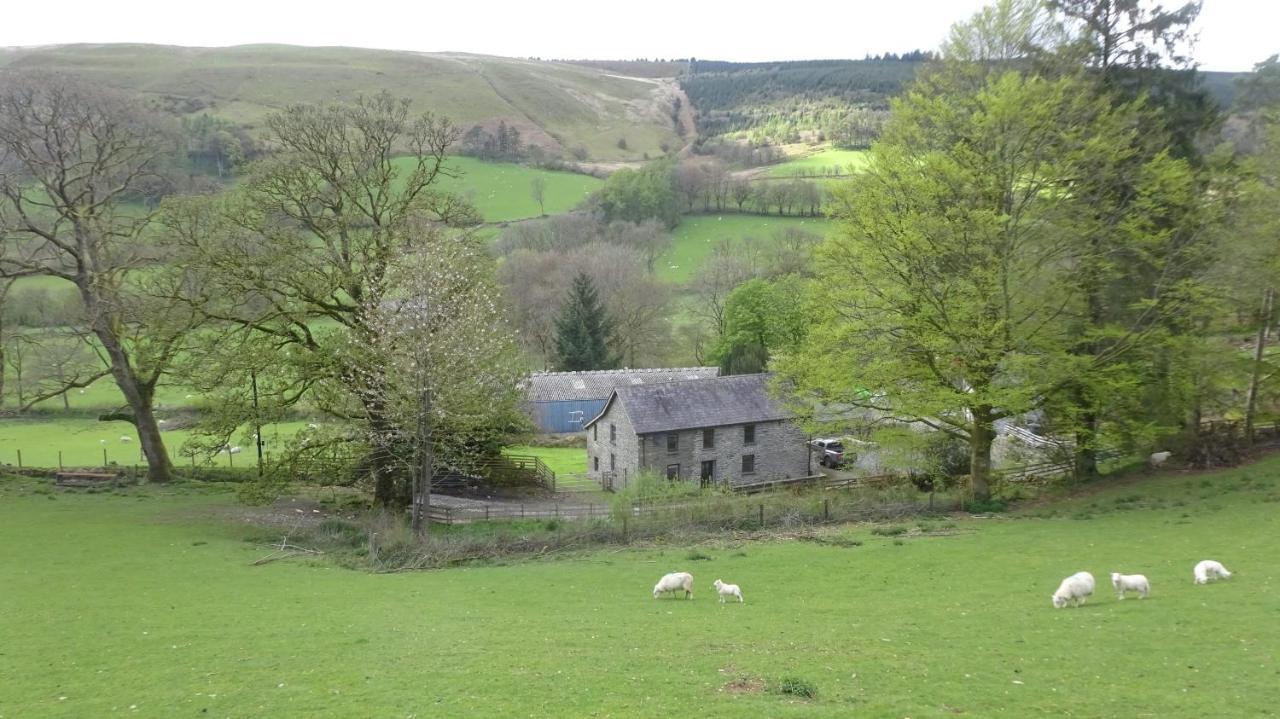 Blaentwrch Farmhouse Llanddewi-Brefi Exterior foto